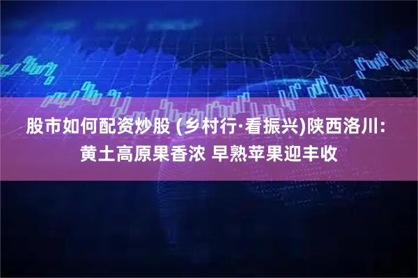 股市如何配资炒股 (乡村行·看振兴)陕西洛川: 黄土高原果香浓 早熟苹果迎丰收