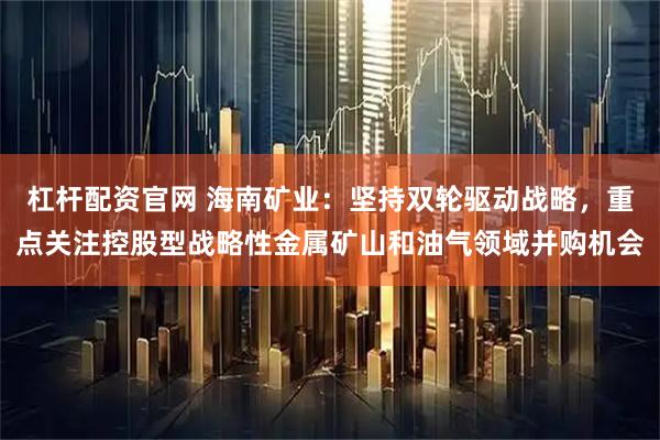 杠杆配资官网 海南矿业：坚持双轮驱动战略，重点关注控股型战略性金属矿山和油气领域并购机会