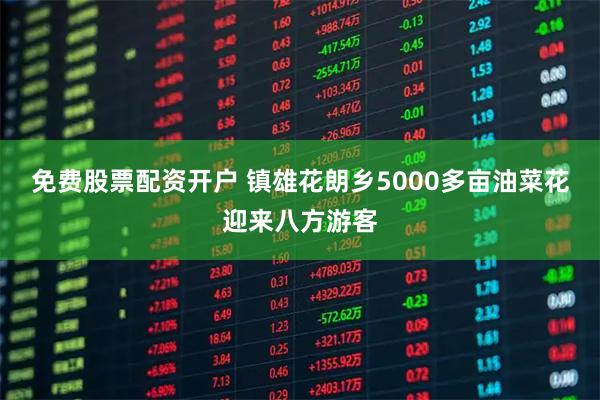 免费股票配资开户 镇雄花朗乡5000多亩油菜花迎来八方游客